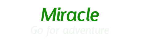 All About Miracle